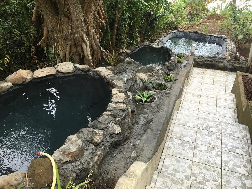 Bed and Breakfast La Caz Oceane Saint-Leu Esterno foto